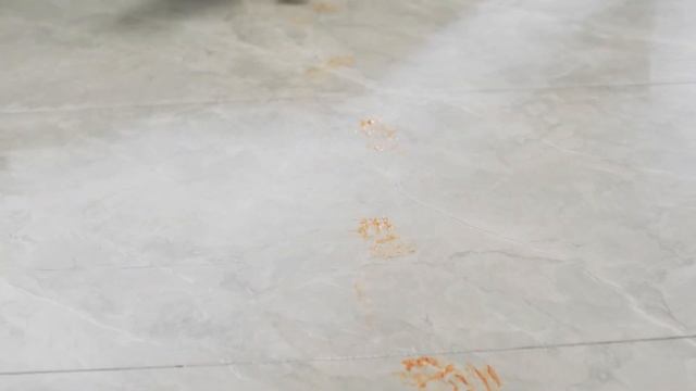 ILIFE W90 Беспроводной пылесос для влажной и сухой уборки смотреть онлайн