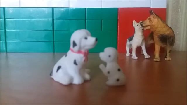 Особенности пород собак немецкая овчарка, далматинец, болонка