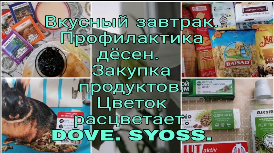 Влог. Vlog. Профилактика дёсен. Большая закупка. DOVE. SYOSS. Расцвел цветок, а другой погибает.