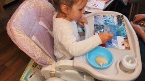 Методика Шичида. Раннее развитие.