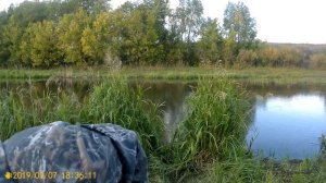 Рыбалка на тычки поставухи. Подготовка. Хищник на живца 2019. 1 серия.