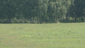 Можайский кремль, музей-заповедник Бородинское поле и немного природы.