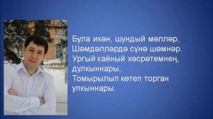 Фирдус Тямаев - Ялгыз торна