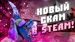 НОВЫЙ ВИД СКАМА В STEAM! СКАМ ЧЕРЕЗ БРУТ ВЕЩИ! СКАМ ЧЕРЕЗ КРАДЕНЫЕ ВЕЩИ В STEAM! СКАМ ГРУППЫ STEAM!