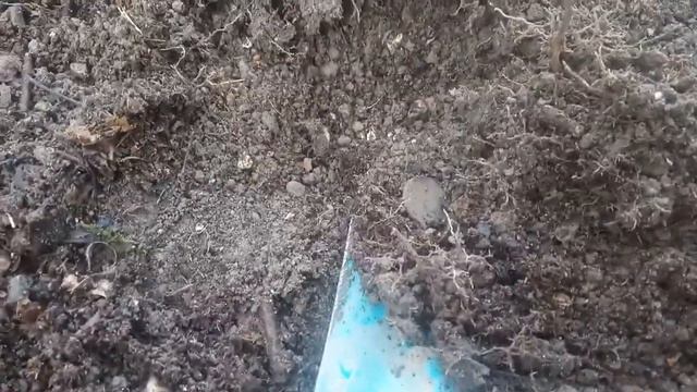 Коп просто коп