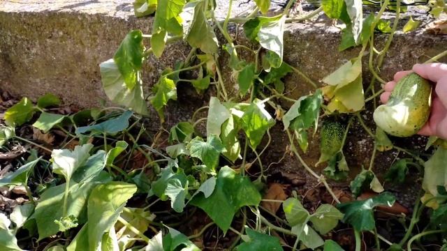 9 августа 2022 г. смотреть онлайн