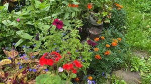 Один день из жизни дачника выходного дня