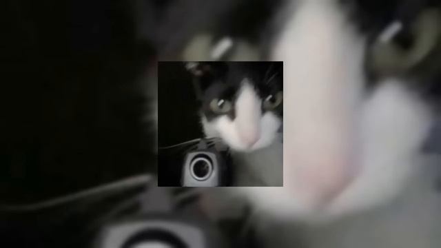 Чёрные глаза - sped up смотреть онлайн