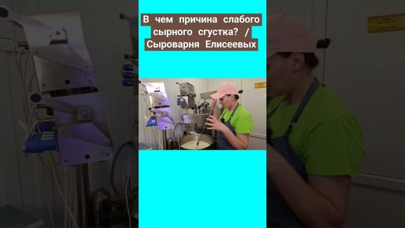 В чем причина слабого сырного сгустка? / Сыроварня Елисеевых / #сыр#рецепты