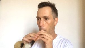 Курский рожок