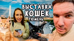 ТЮМЕНЬ\ВЫСТАВКА КОШЕК\КОТ ШАРОН\НОВОСТИ\ГОРОД Т