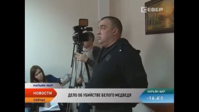 Приговор Илюшину А.С., убившему белого медведя, занесенного в Красную книгу смотреть онлайн