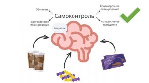 Книга. Сила воли.  Келли Макгонигал.