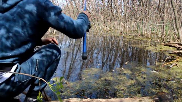 Красноперка прёт. Труднодоступная местность. Рыбалка на поплавок