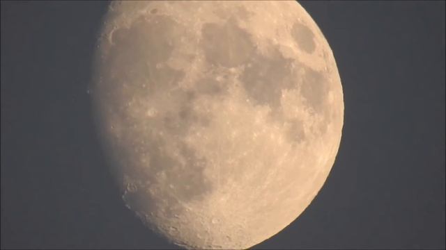 Nikon P900 смотреть онлайн