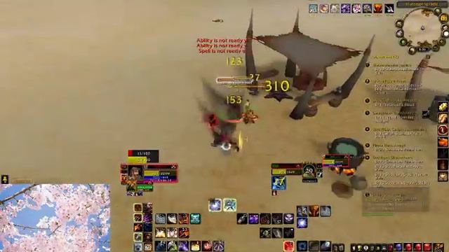 Ascension Stream Two Leveling and Pvping in Tanaris