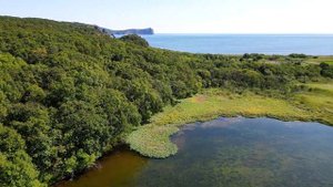 Камчатка, Тихий Океан, Бухта Станицкого, сентябрь 2023 г.