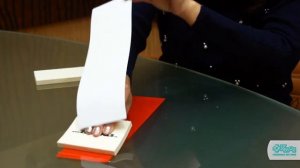 Ракель ZENON войлочный мягкий