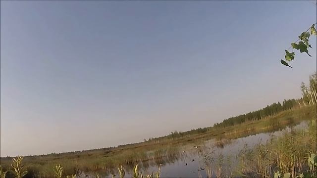 охота на утку осень 2017.то что попало в кадр. смотреть онлайн