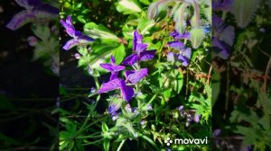 Дача осень 2022