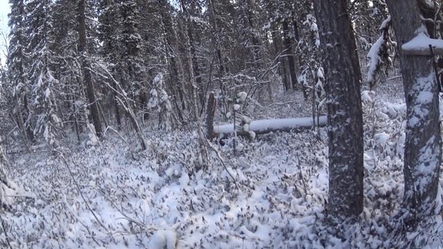первый выход на путик смотреть онлайн