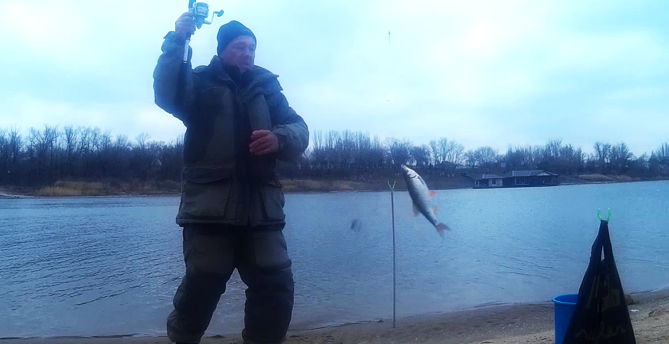 Хорошая плотва в мороз на Ахтубе на донную снасть.