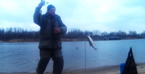 Хорошая плотва в мороз на Ахтубе на донную снасть.