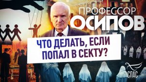 ПРОФЕССОР ОСИПОВ: ЧТО ДЕЛАТЬ, ЕСЛИ ПОПАЛ В СЕКТУ?