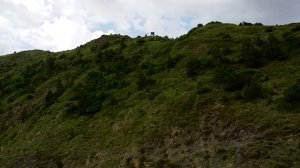 ИХРЕК МУЗЫКАЛЬНЫЙ