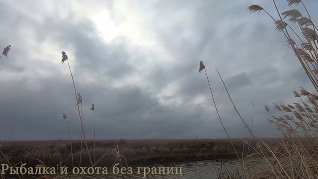 Весенняя охота на гуся и селезня Закрытие сезона охота 2020 смотреть онлайн