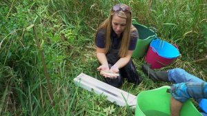 Electrofishing on the River Nar