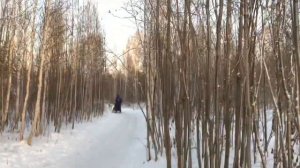 Питомник ездовых собак Эльбрус Екатеринбург