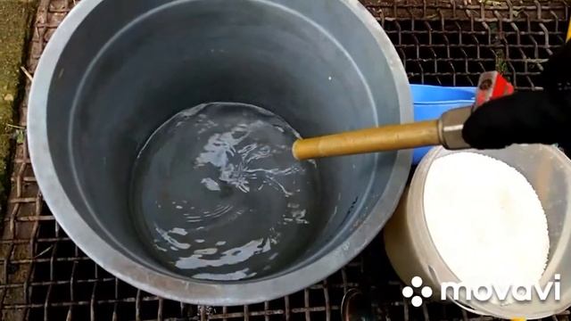 Ромашка садовая. Подкормка перед цветением. смотреть онлайн