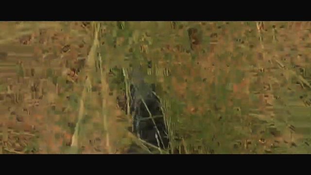 9 Acacia смотреть онлайн