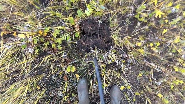 Коп с новой прошивкой V 2 0 FE2.......equinox 600 смотреть онлайн