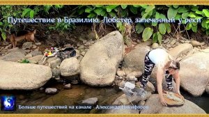 Путешествие в Бразилию. Лобстер, запечённый у реки.