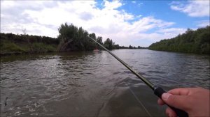 Селитренное / Cентябрь 2020 / В поисках судака / День 3