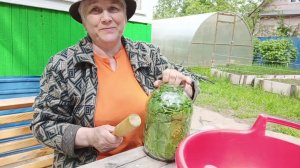 Ферментация листа смородины.☘️.. (1 этап).