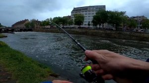 Лучшая блесна на пасивного жереха.