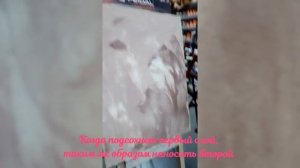 Мастер класс! Известковая декоративная штукатурка, нанесение несколькими цветами!