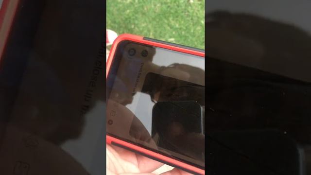 Gimp Suit смотреть онлайн