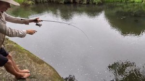 Fishing for RIVER MONSTERS Australia - Eating Only What I Catch!