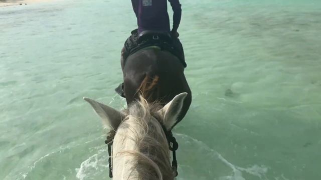 TURKS AND CAICOS VLOG | 30TH BIRTHDAY | AZIZA | CLEAR KAYAK PHOTOSHOOT | NOAH'S ARK & MORE смотреть онлайн