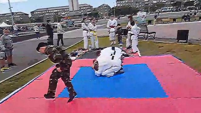 Показательные выступления