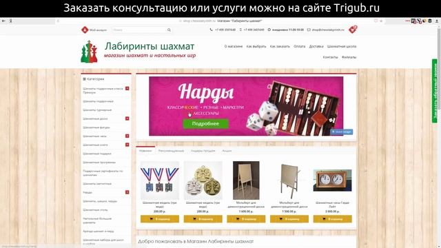 Аудит интернет-магазина шахмат смотреть онлайн