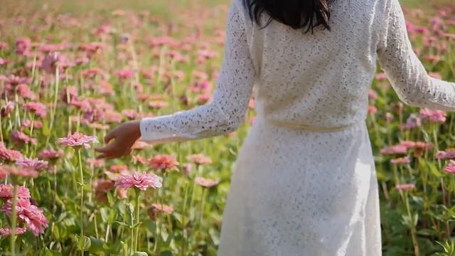 Стихи смотреть онлайн