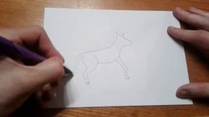 Видео: Как поэтапно нарисовать ПОНИ для начинающих и детей?