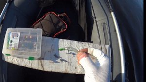 РАТЛИН НА ЖЕРЕХА ! Самый маленький и самый тяжелый!