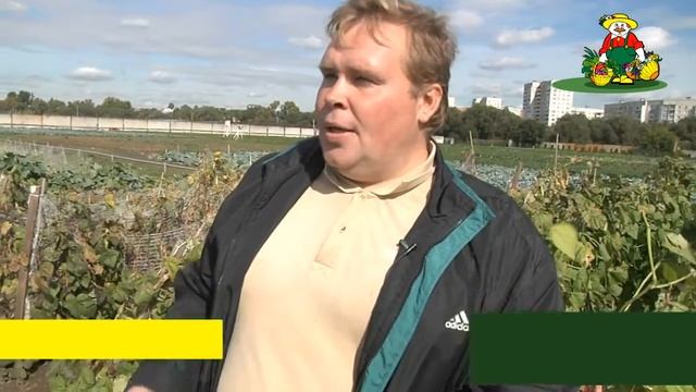 Бобовые культуры смотреть онлайн