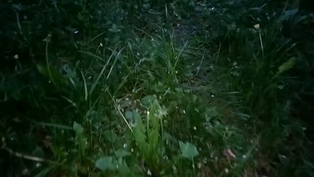 Мышиные бега смотреть онлайн